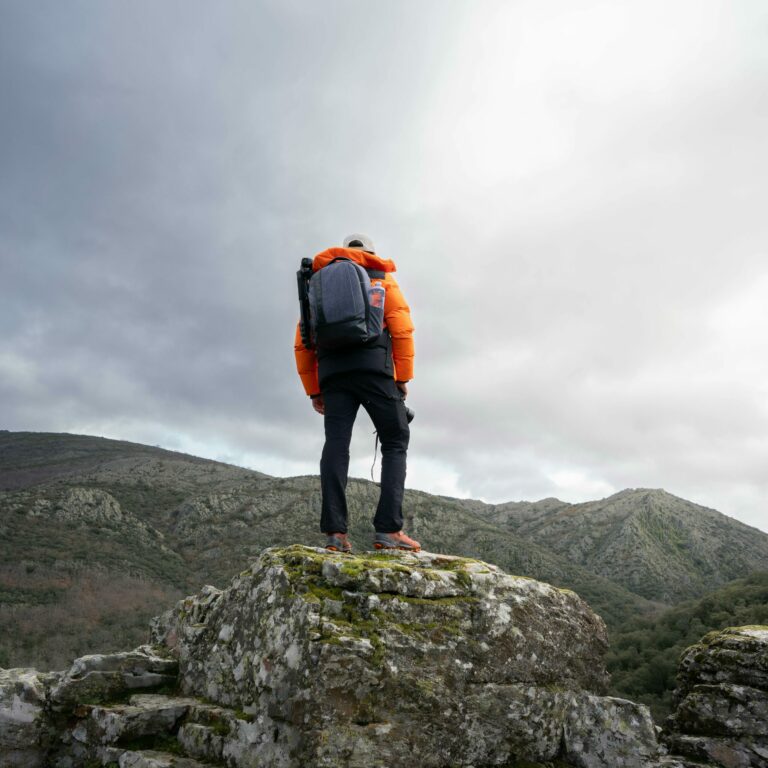 pexels-photo-22776471-22776471